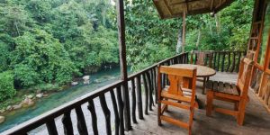 penginapan di tangkahan langkat