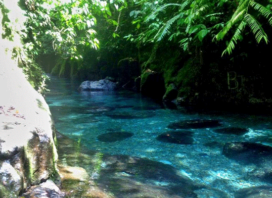 kolam abadi teroh teroh langkat