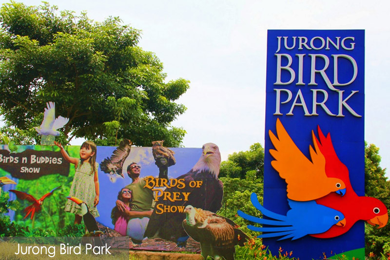 Tempat wisata di singapura - Jurong Bird Park