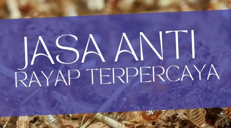 Jasa anti rayap